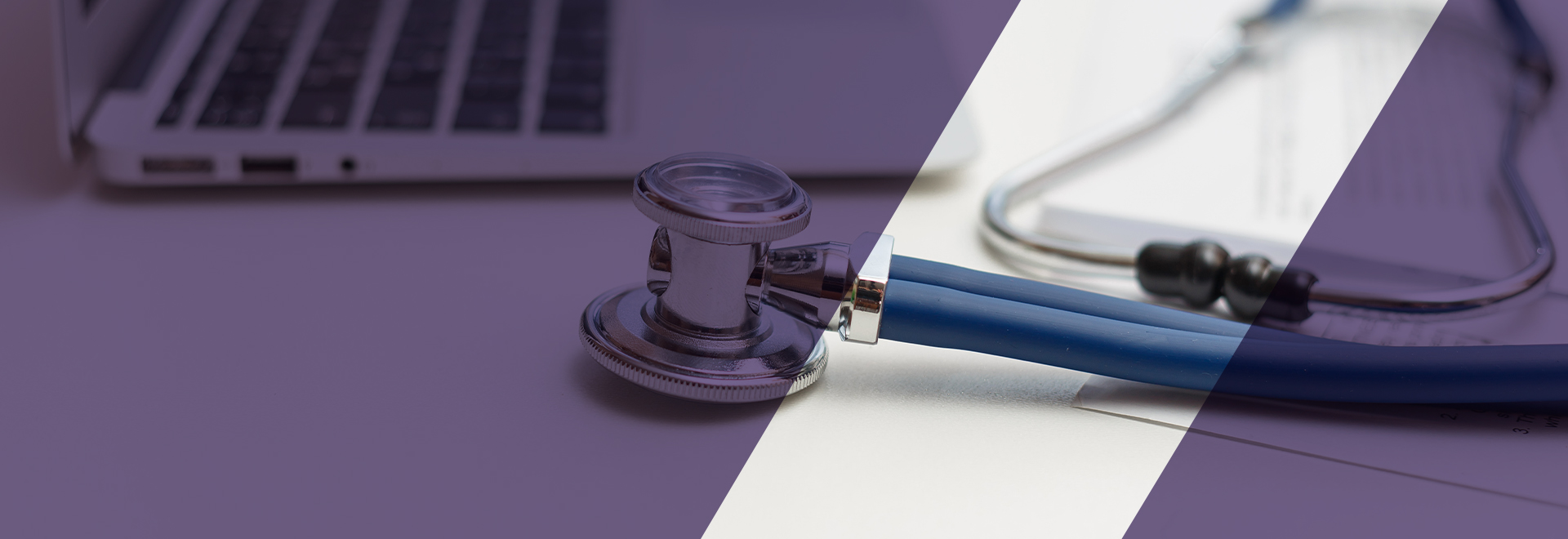 Web Portal Development