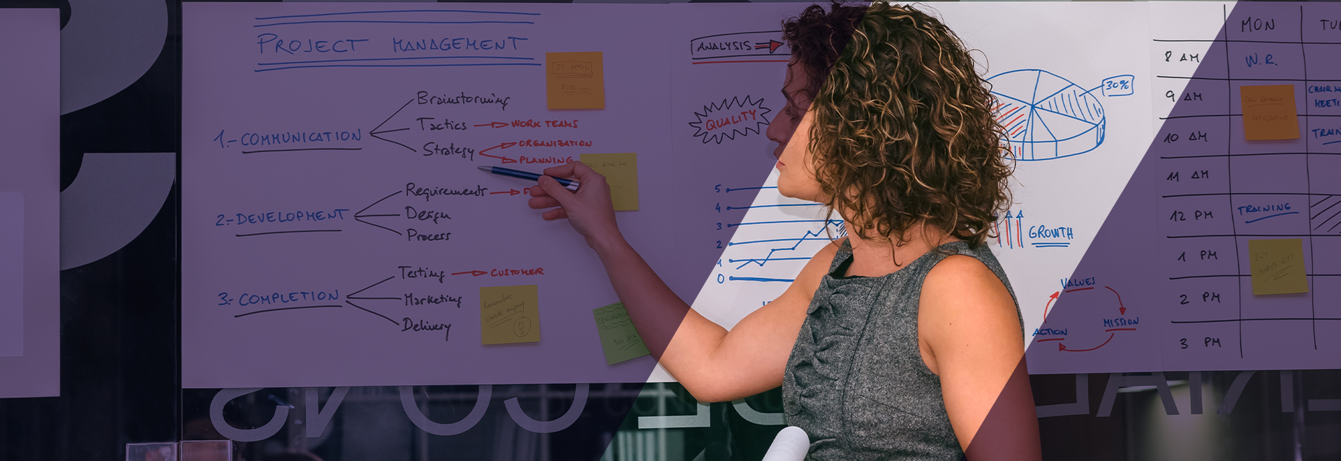 Project Portfolio Management