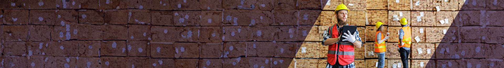 Enhancing Efficiency with Automation: Inventory Mapping