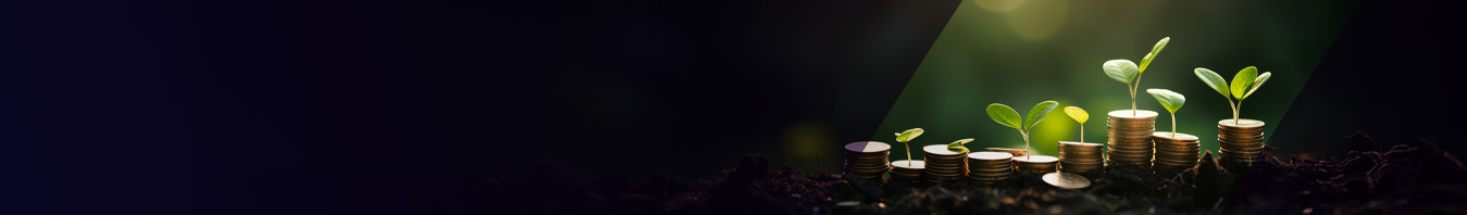 Boosted Fundraising and Grant Management Using Salesforce-Powered Data Model