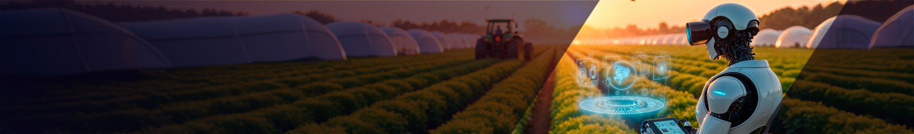 Unlocking Agility in D365 Monthly Rollouts